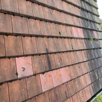 Velux et réparation de toiture à Secqueville-en-Bessin